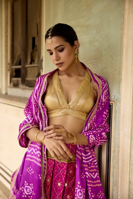 Patal Patola Lehenga Set