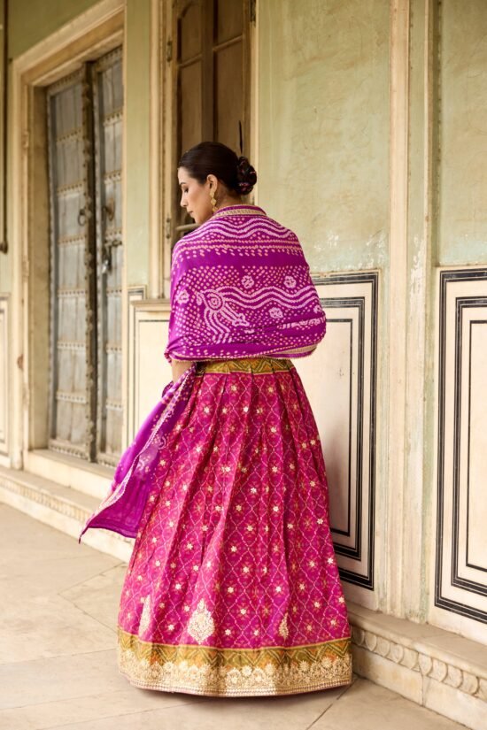 Patal Patola Lehenga Set