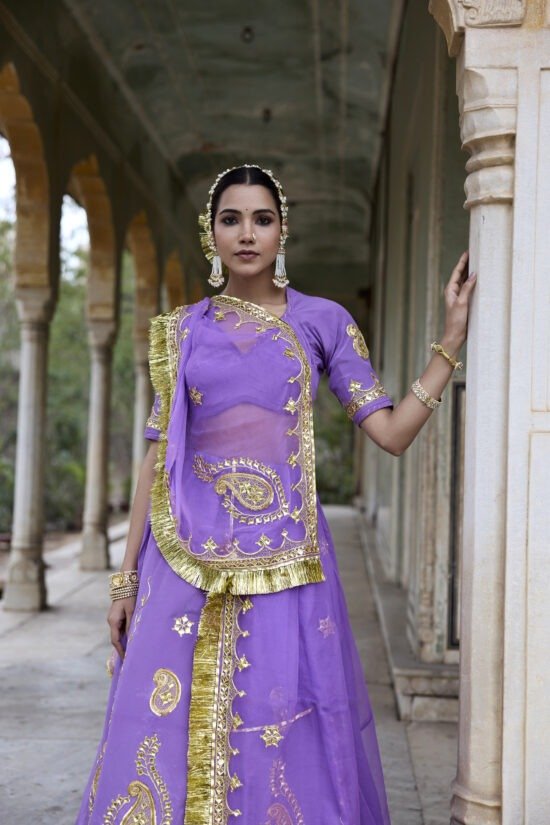 Ranisa Neelam Lehenga Set