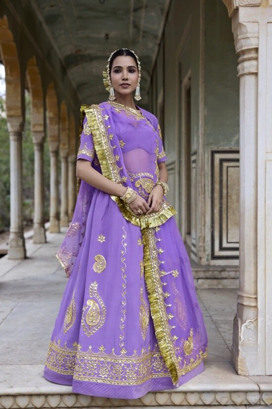 Ranisa Neelam Lehenga Set