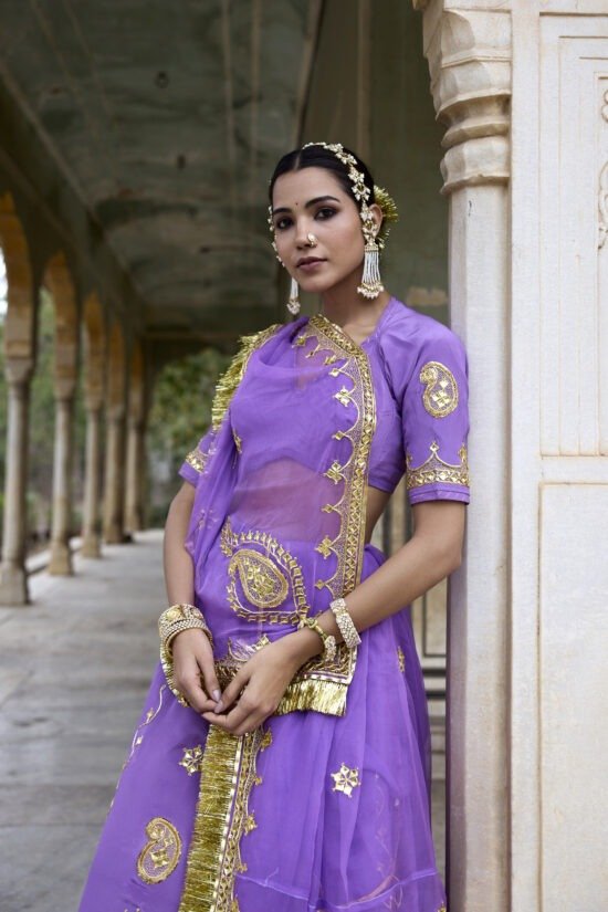 Ranisa Neelam Lehenga Set