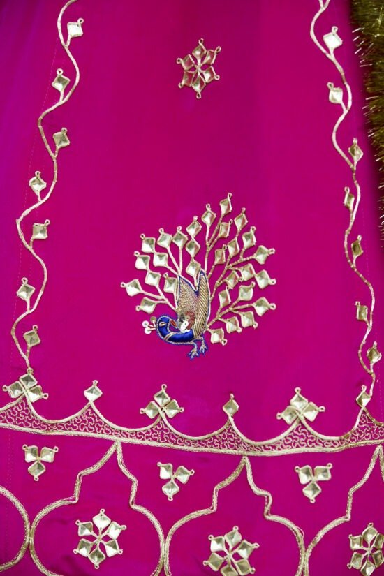 Ranisa Ruby Lehenga Set