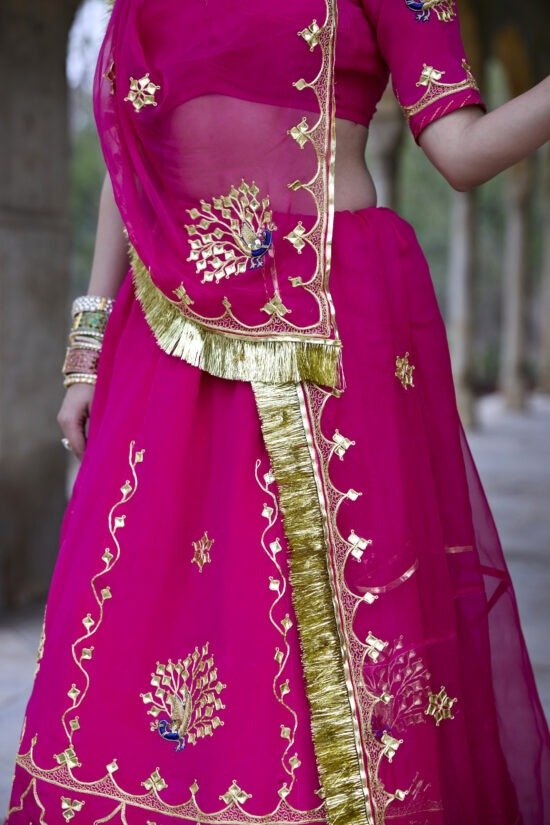 Ranisa Ruby Lehenga Set