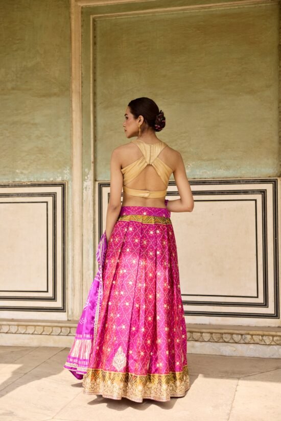 Patal Patola Lehenga Set