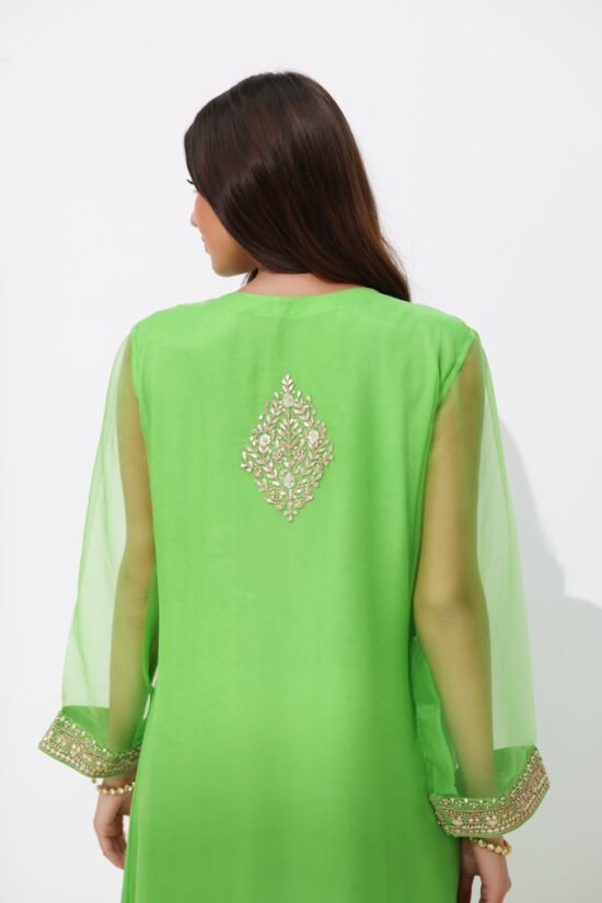 Zaitoon zari one piece dress set